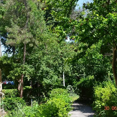 Antonia Sat Vacanta * Köstence